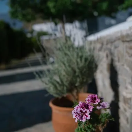 Hotel apartamentowy Indigo