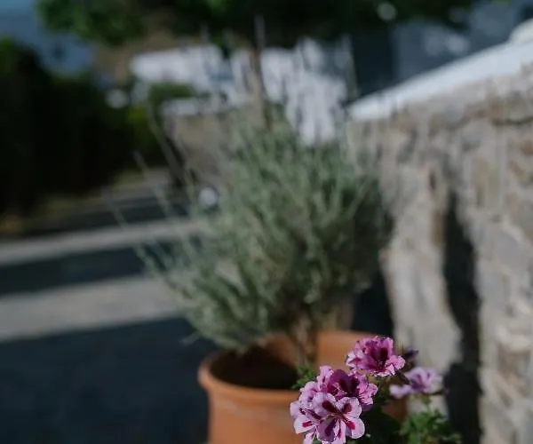 Lejlighedshotel Indigo